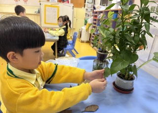 K2A枯葉探索