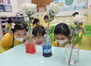 科學探索活動 Science Exploration Activities